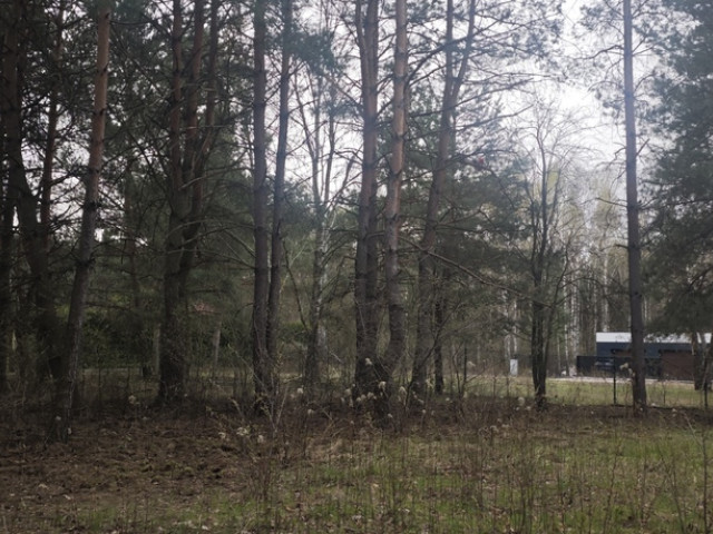Wyjątkowa działka przy lesie 1500mkw